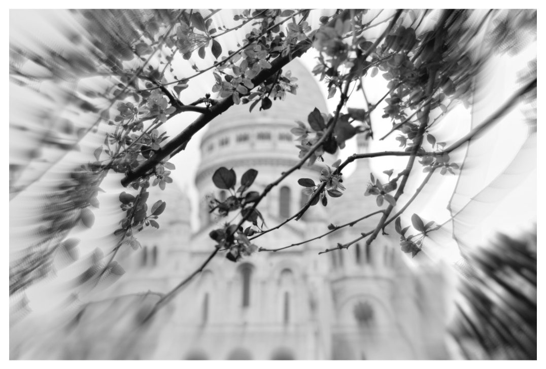 Main image BLOOMING SACRE COEUR