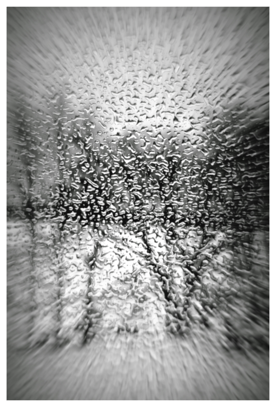 Main image WINTER TREES IN TEARS