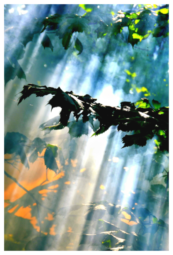 Main image FLOW OF SOFT LIGHT