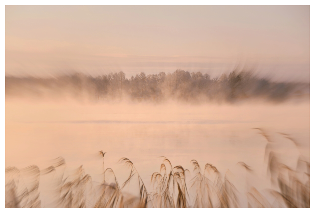 Main image MISTY RIVERSIDE MORNING