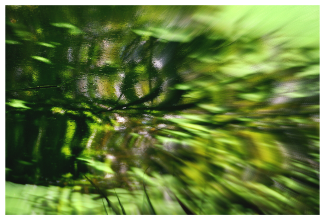 Main image GREEN MOOD