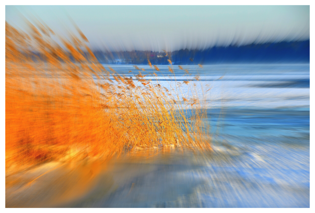 Main image TOUCH OF GOLD