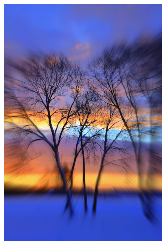 Main image TREES SILHOUETTES IN WINTER SUNSET