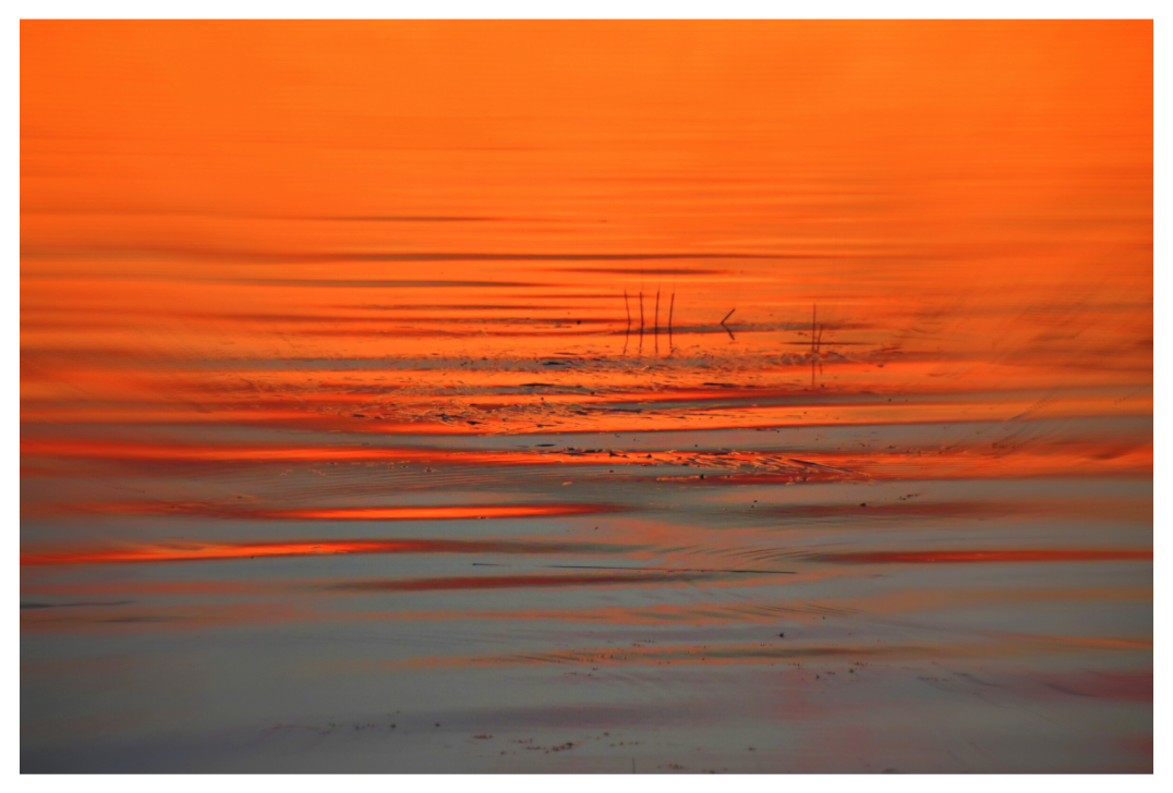 Main image ORANGE MOOD