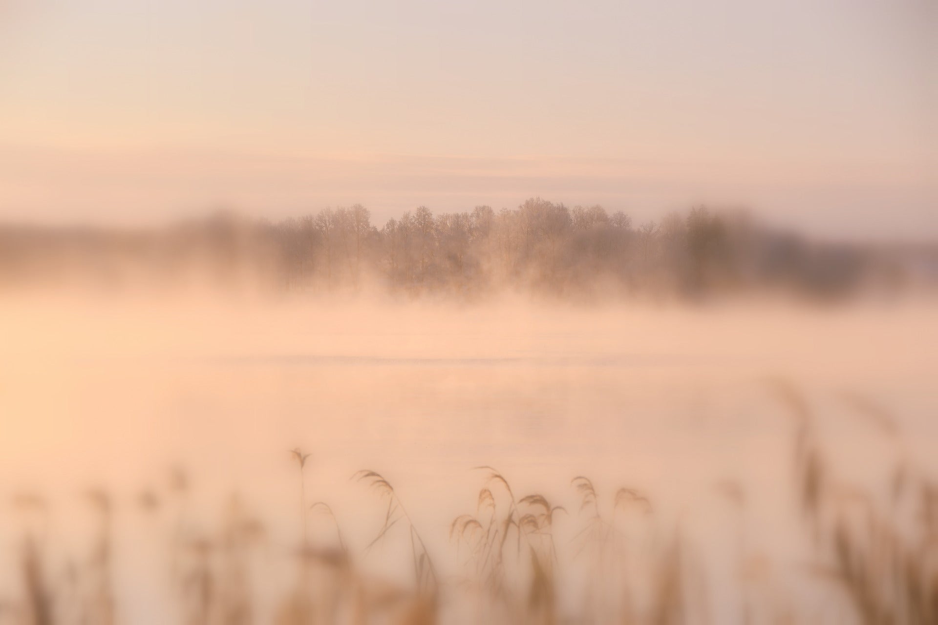 Fine Art & Soulful Photography
