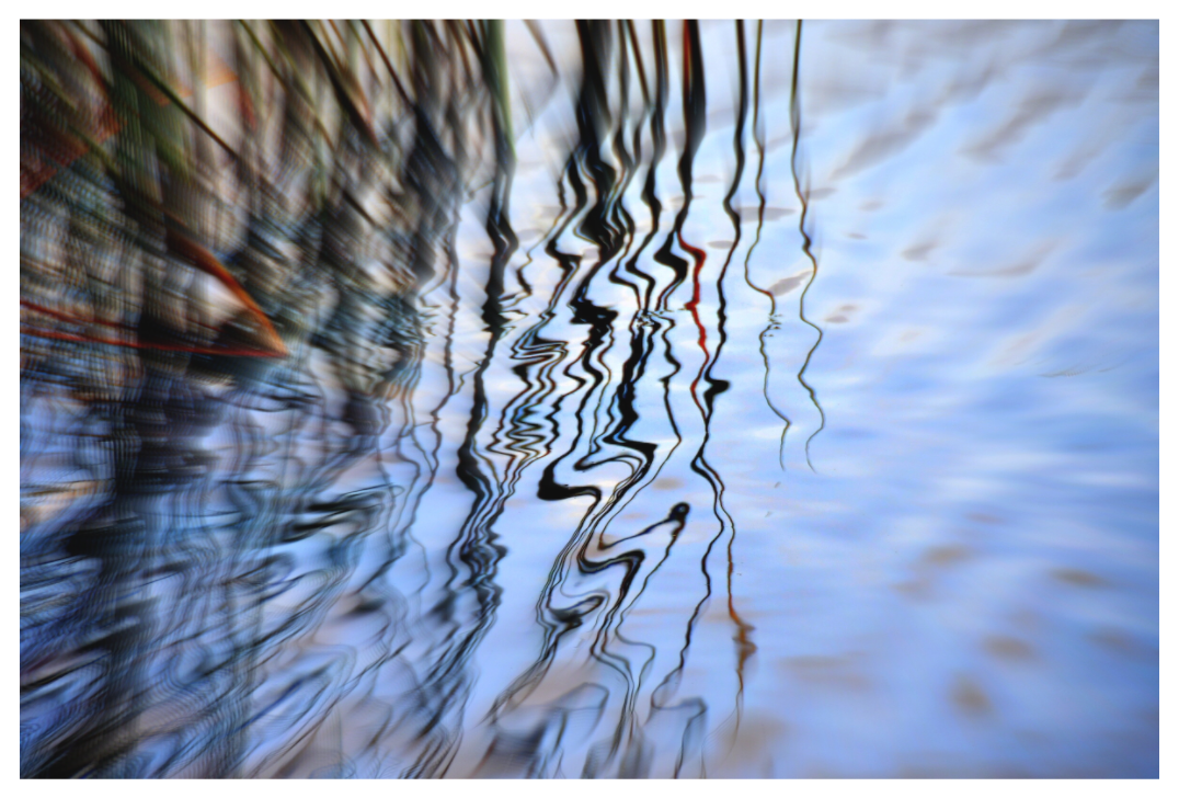 Main image CURLY REFLECTIONS