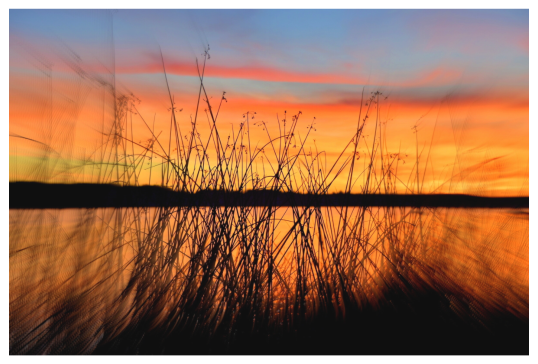 Main image SUNSET BEHIND BLACK REEDS