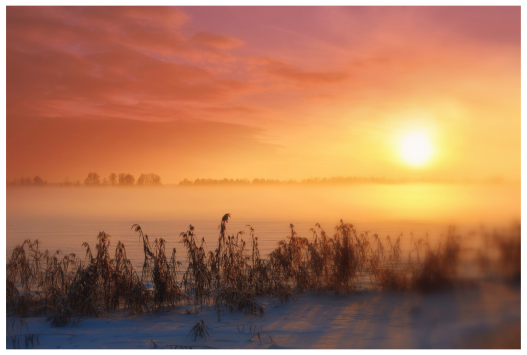 Main image CREME BRULEE